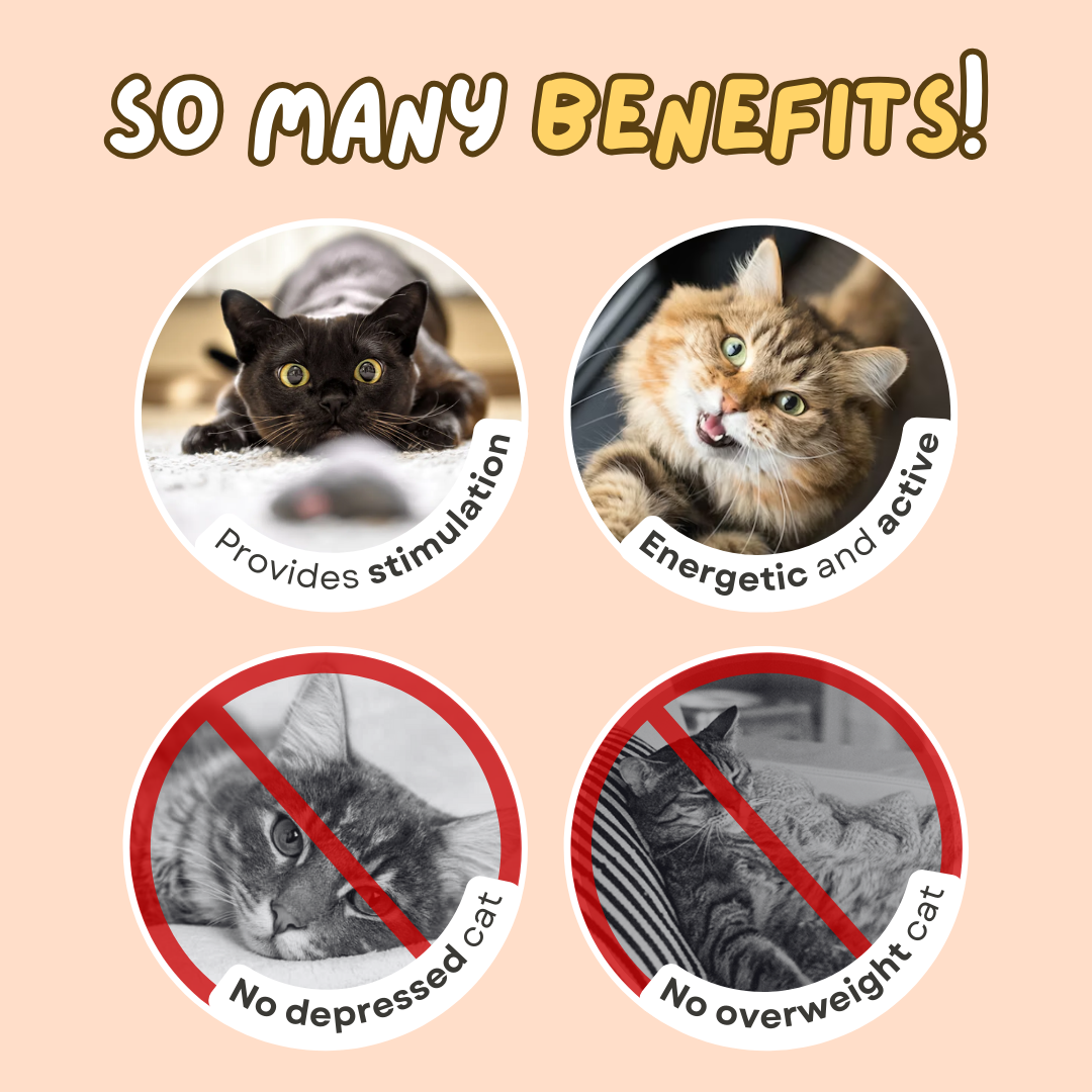 Fatty™ Dashing Laser Toy