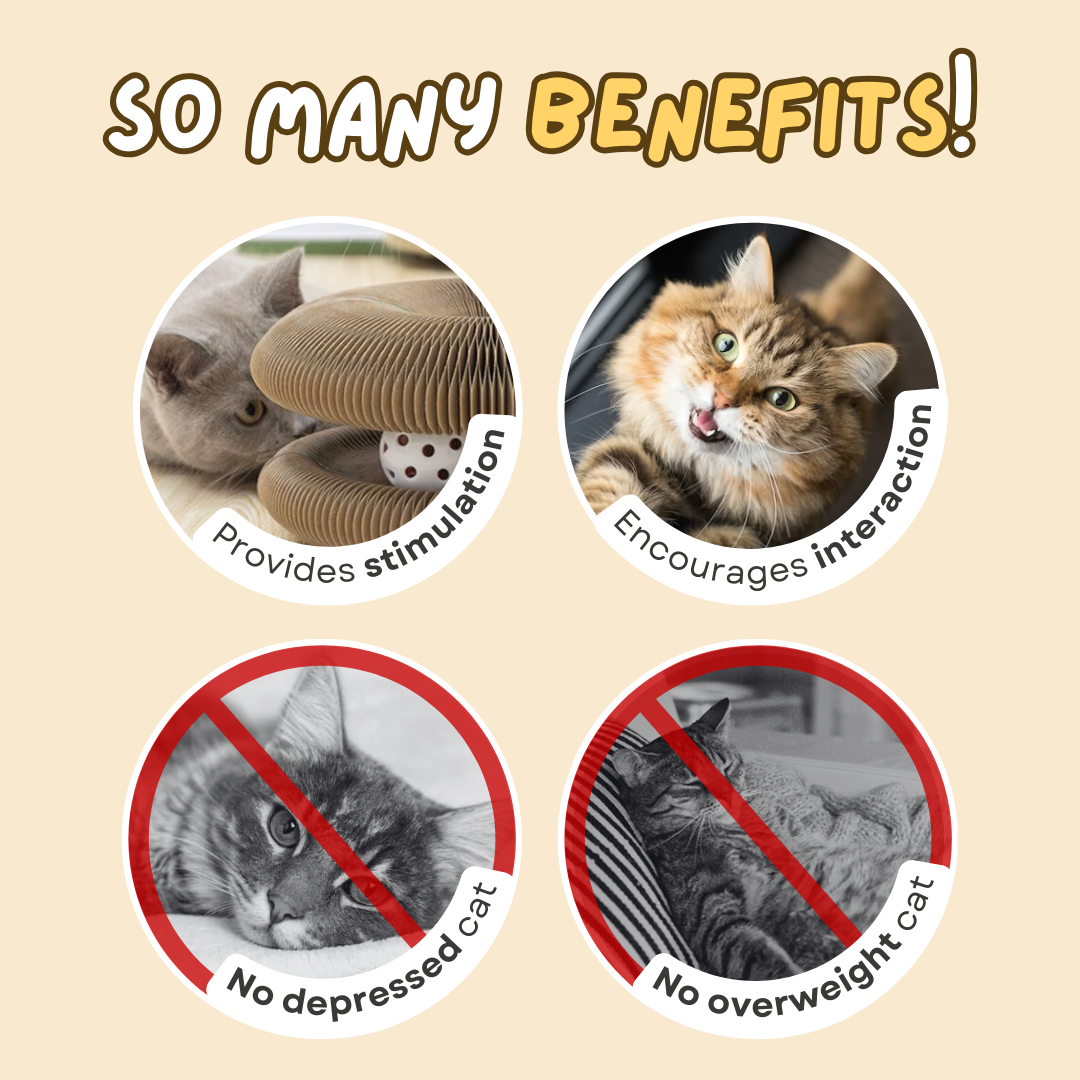 Fatty™ Cat Ball Toy