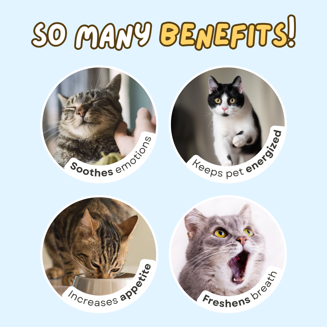 Fatty™ Magical Mouse