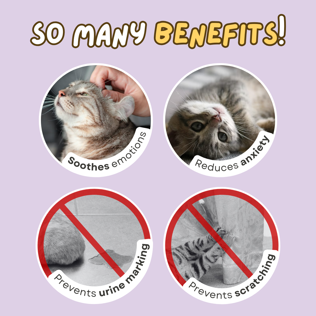 Fatty™ Cat Calming Pheromone