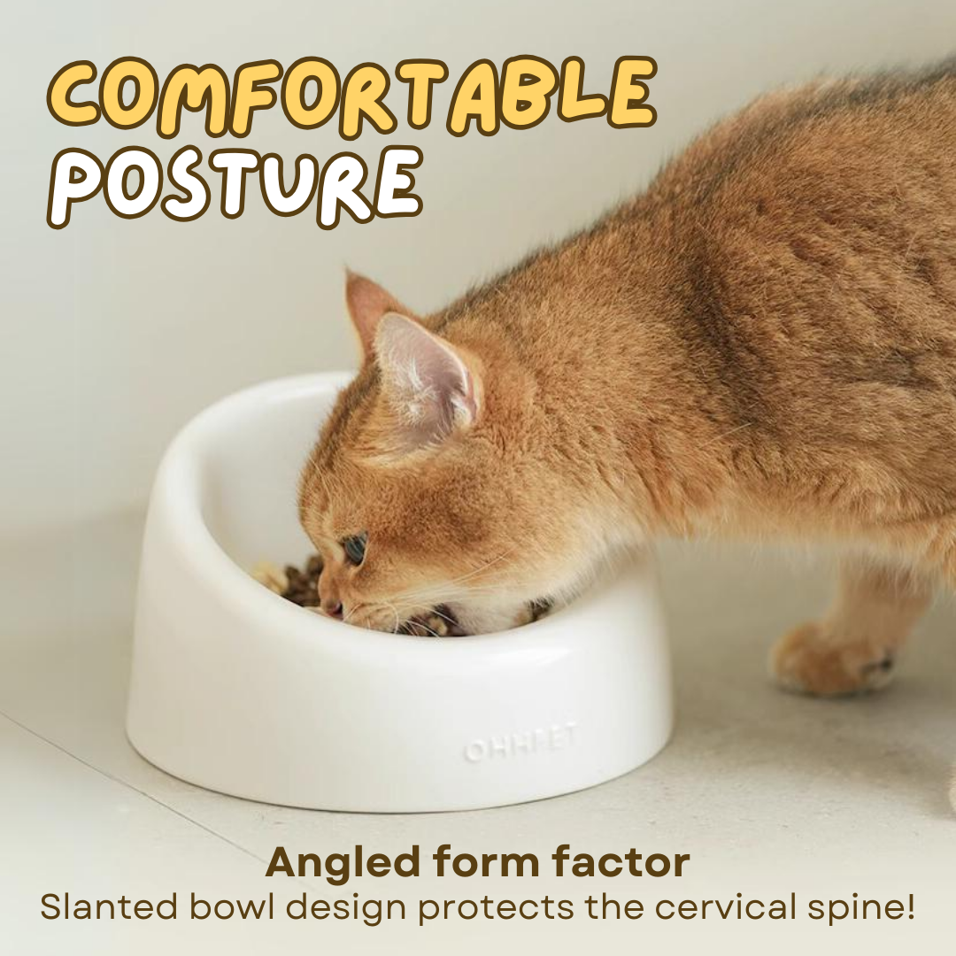 Fatty™ Ceramic Cat Bowl