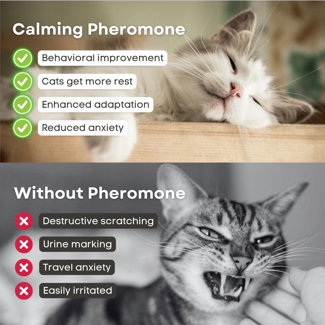 Fatty™ Cat Calming Pheromone