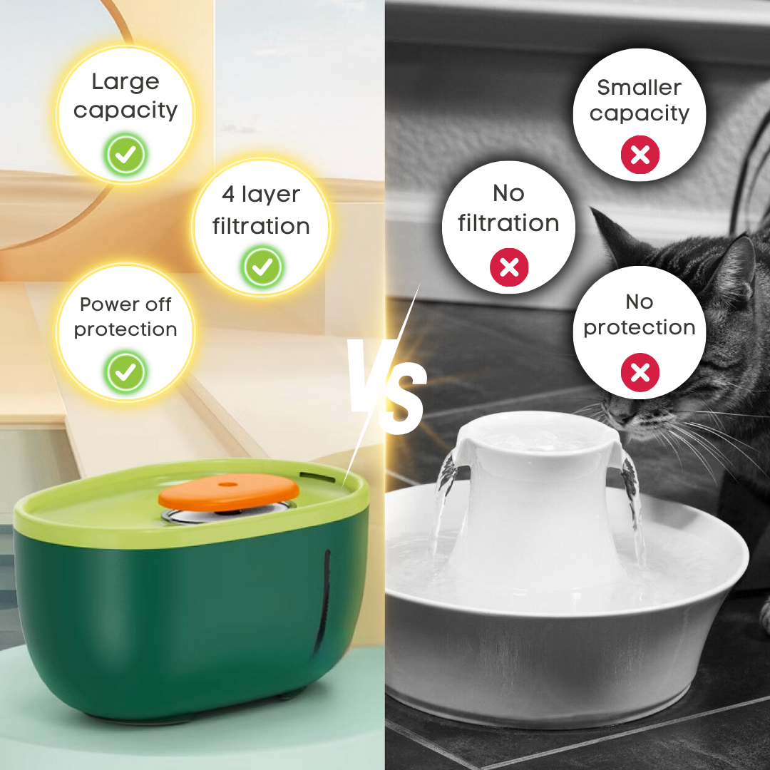 Fatty™ Avocado Water Fountain