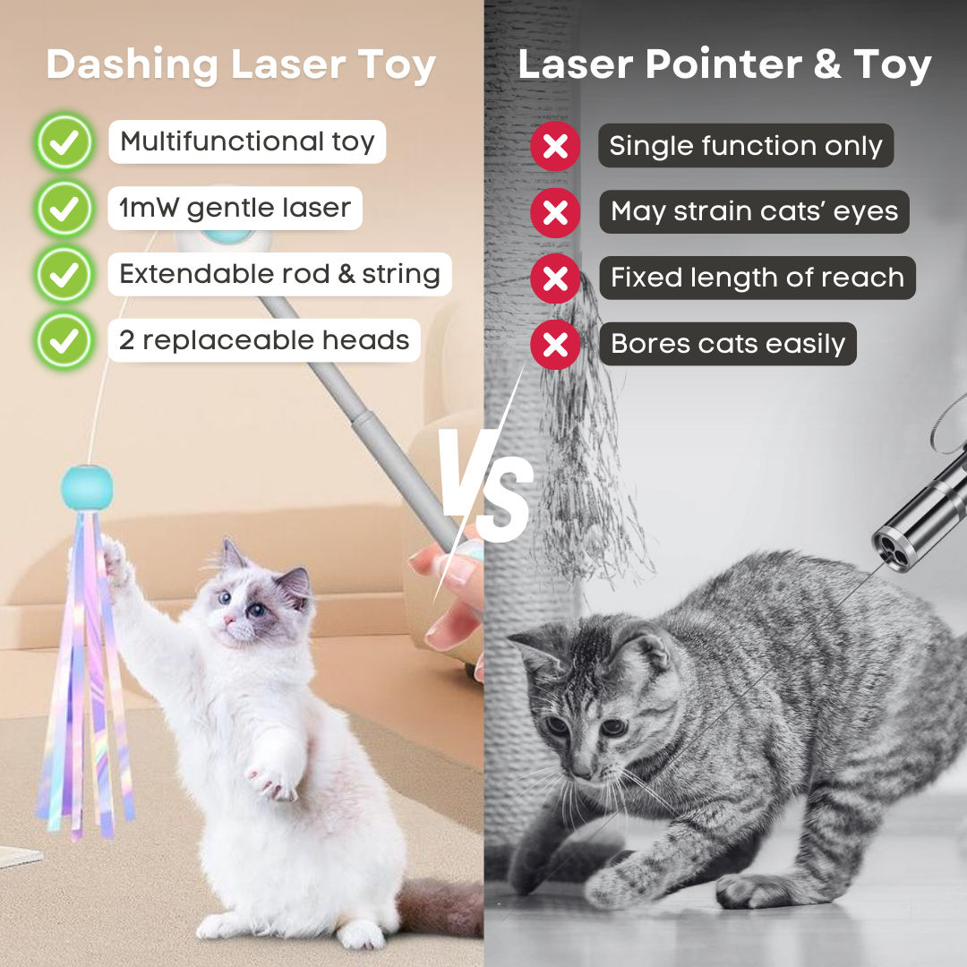 Fatty™ Dashing Laser Toy