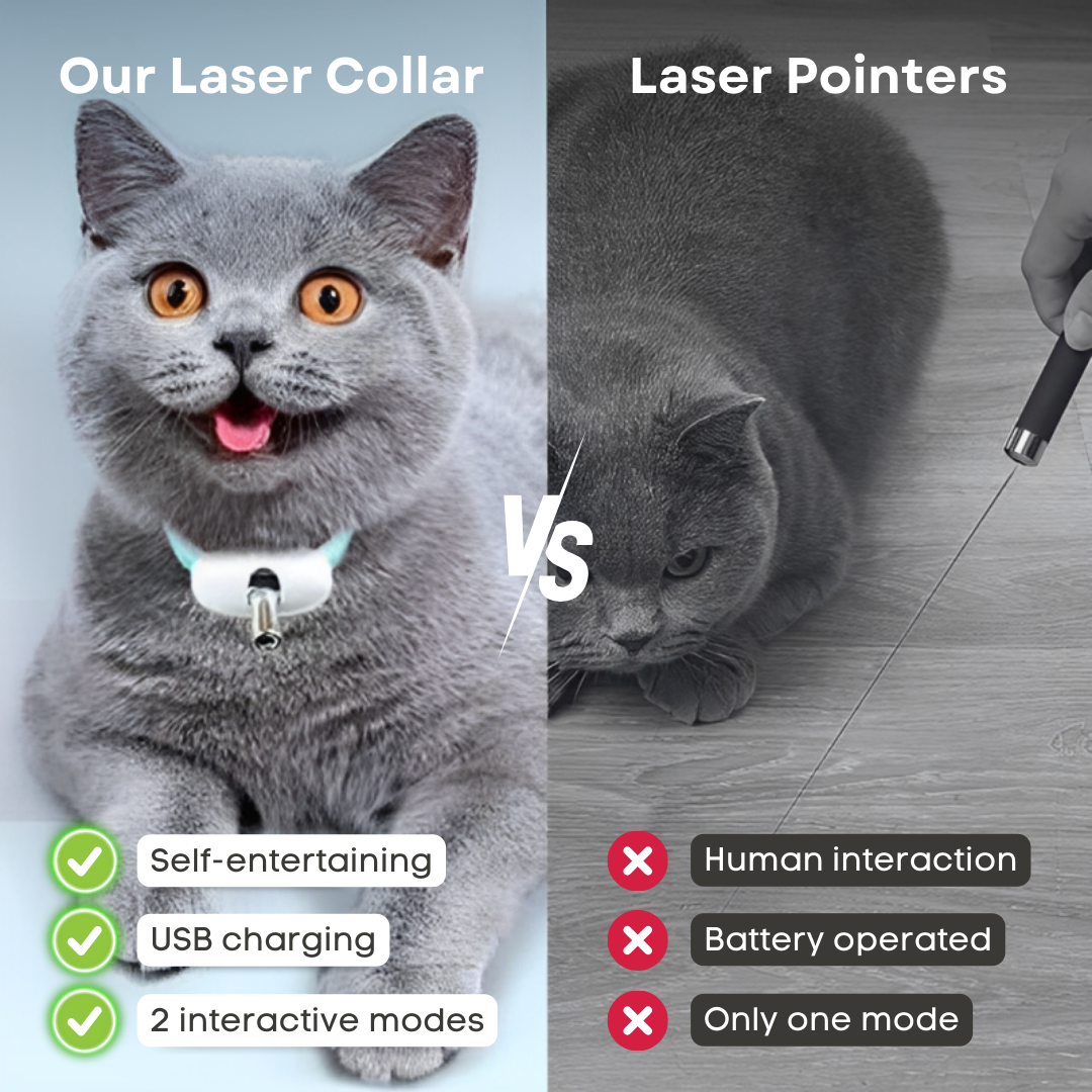 Fatty™ Cat Laser Collar