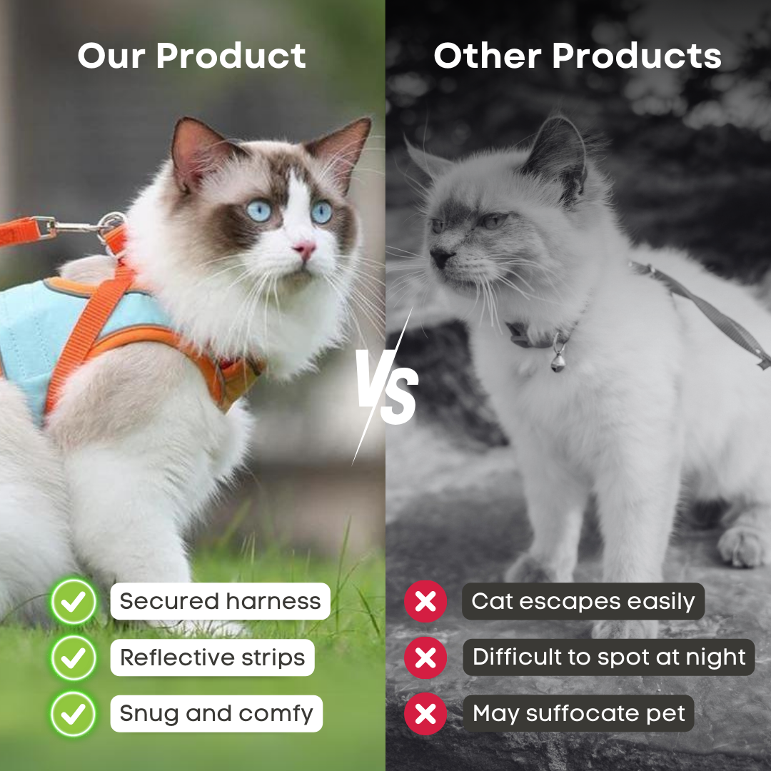 Fatty™ Cat Harness & Leash