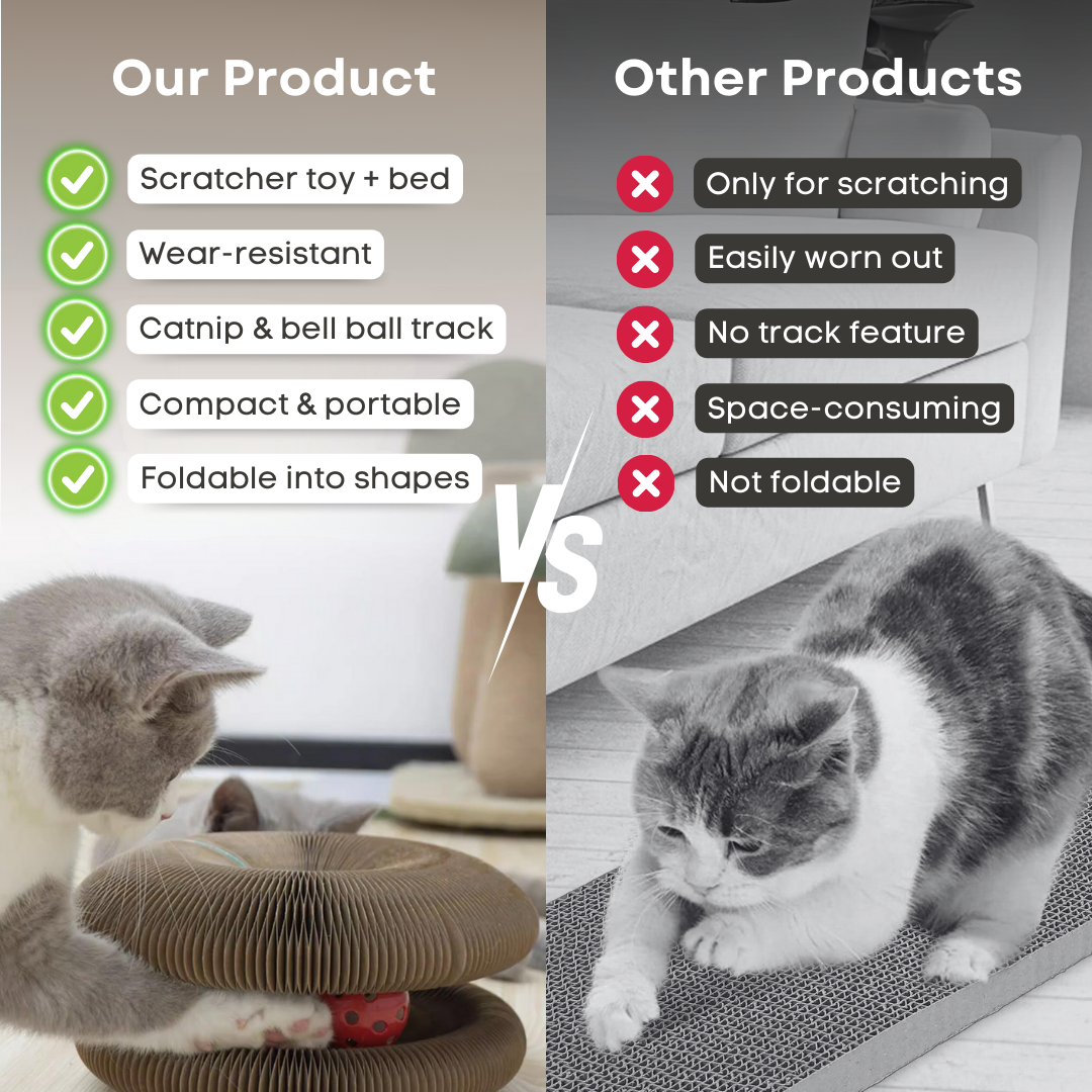 Fatty™ Cat Ball Toy