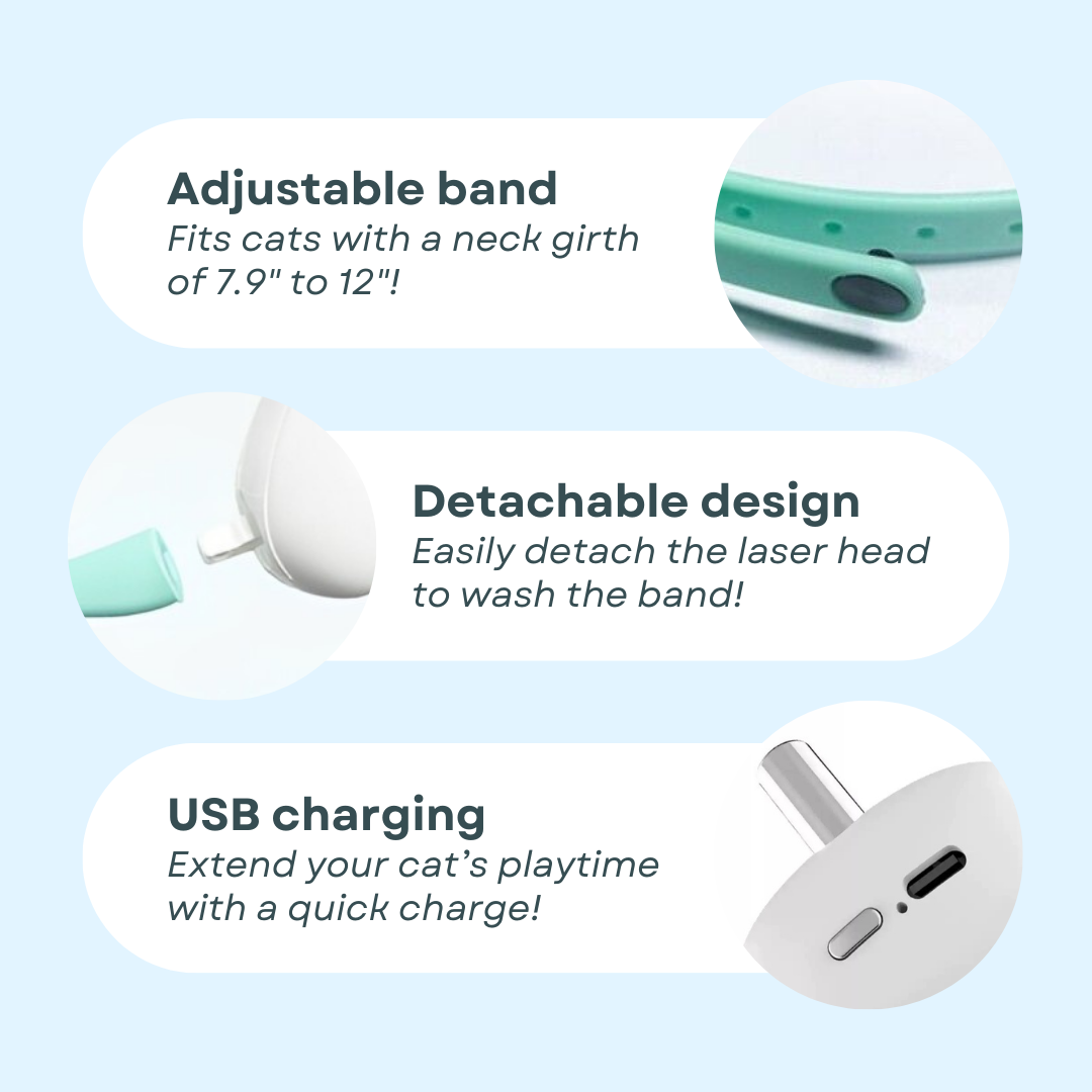Fatty™ Cat Laser Collar