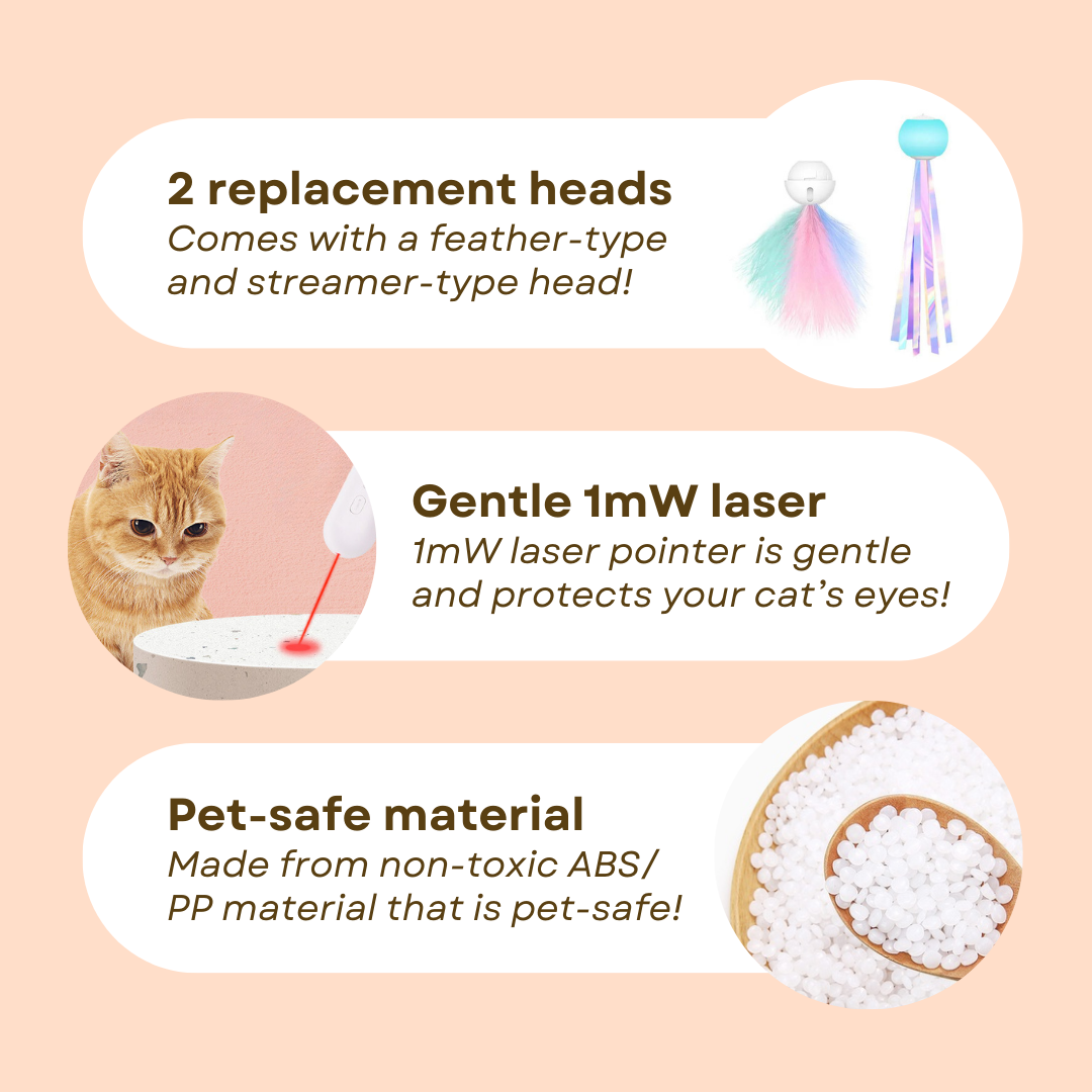 Fatty™ Dashing Laser Toy