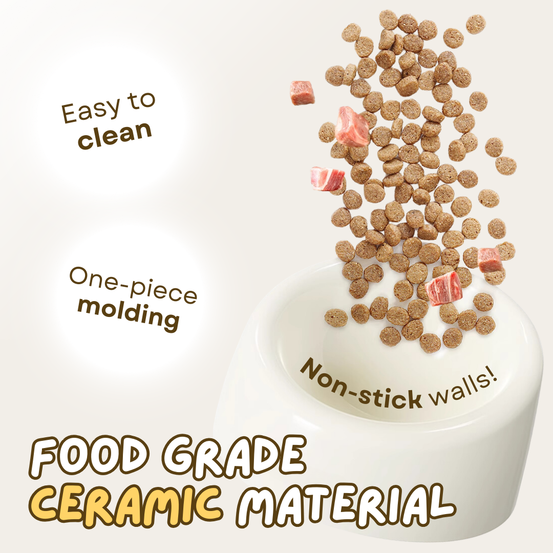 Fatty™ Ceramic Cat Bowl