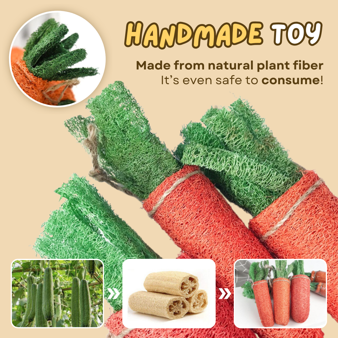 Fatty™ Carrot Loofah