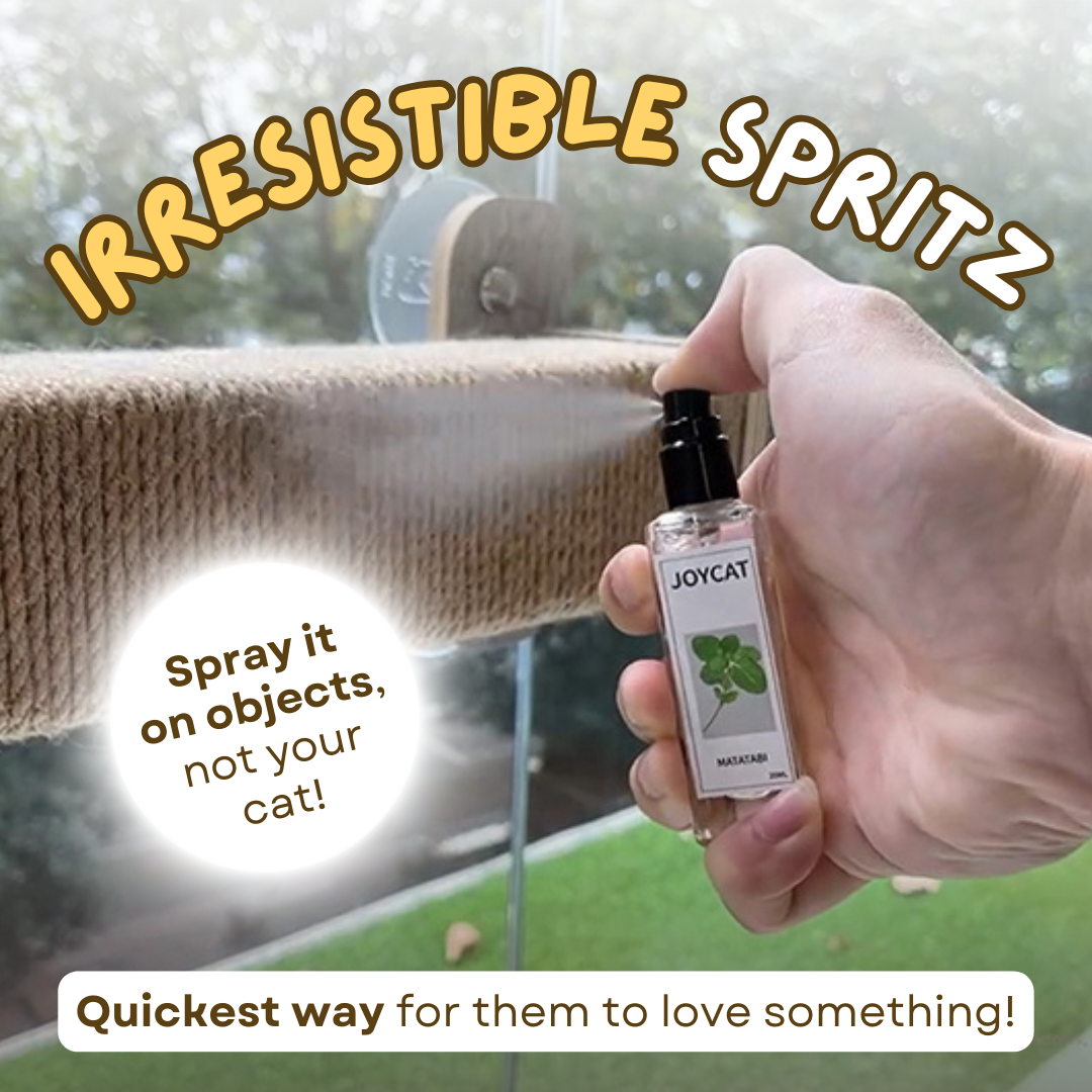 Fatty™ Cat Cupid Spray