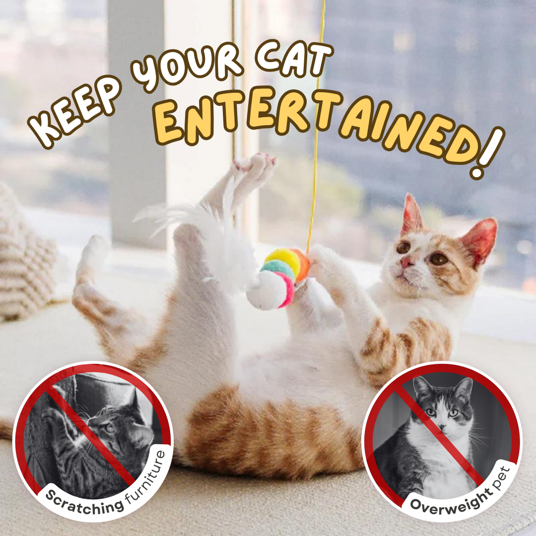 Fatty™ Dangling Cat Toy Set (6 PCS)