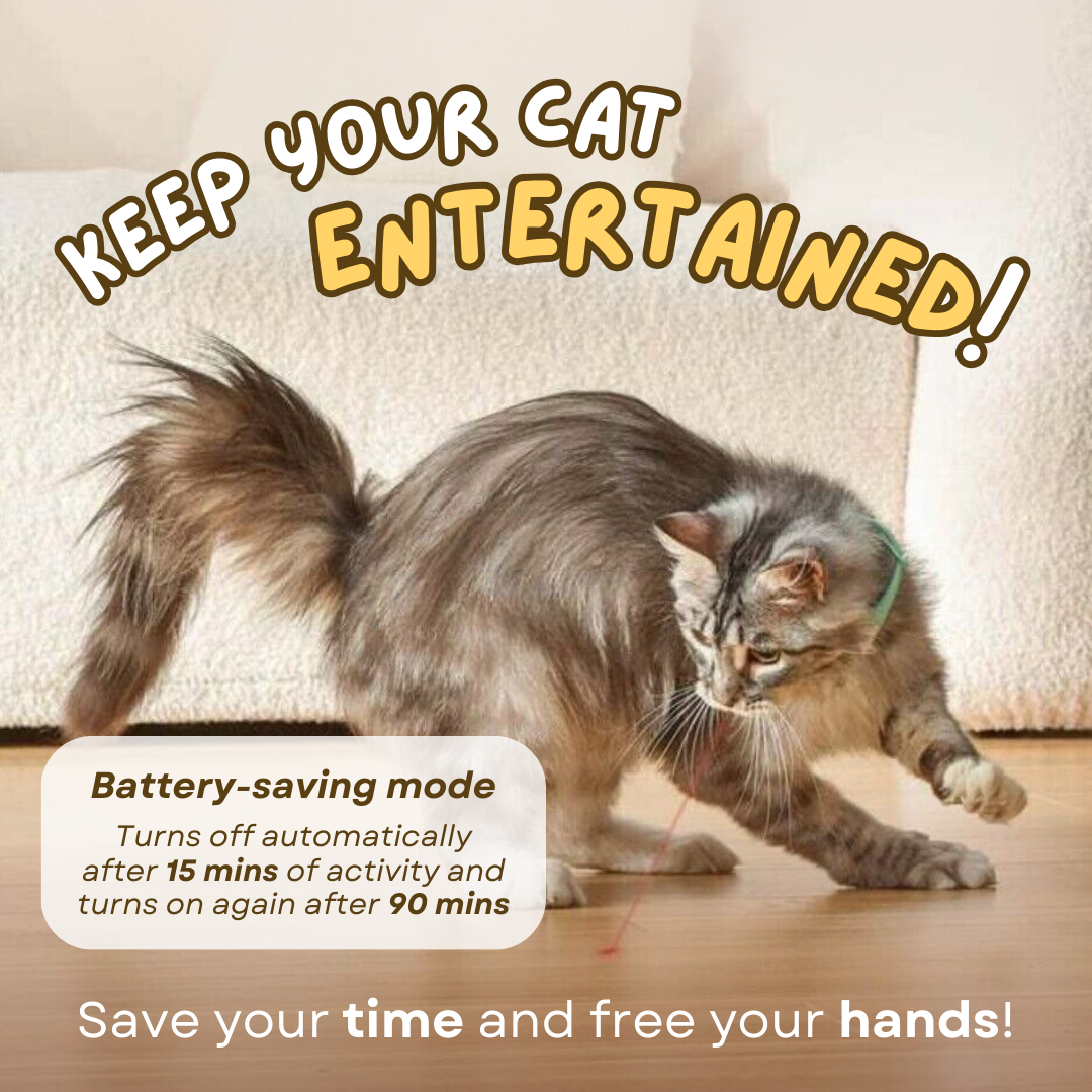 Fatty™ Cat Laser Collar