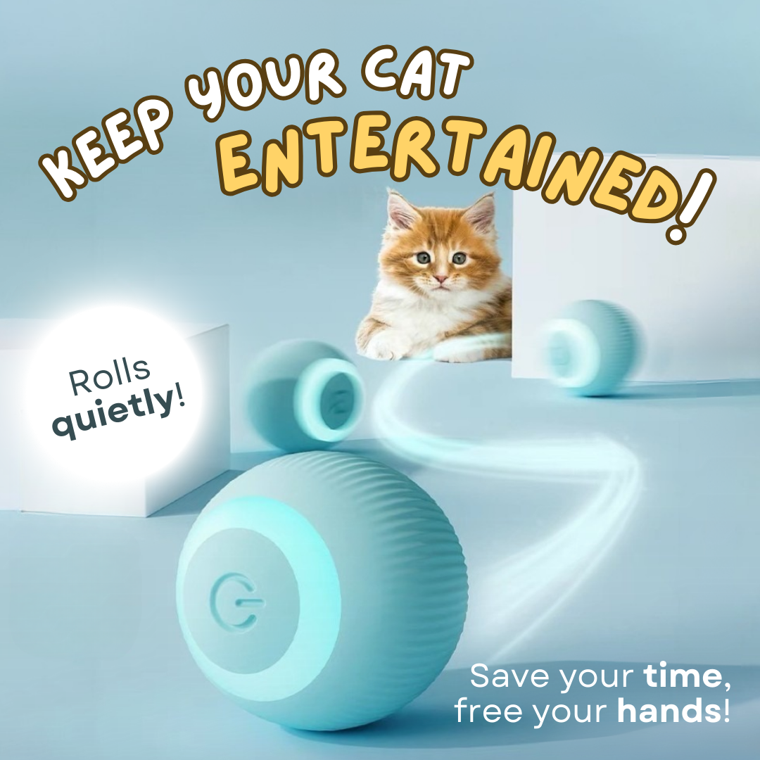 Fatty™ Smart Ball Cat Toy