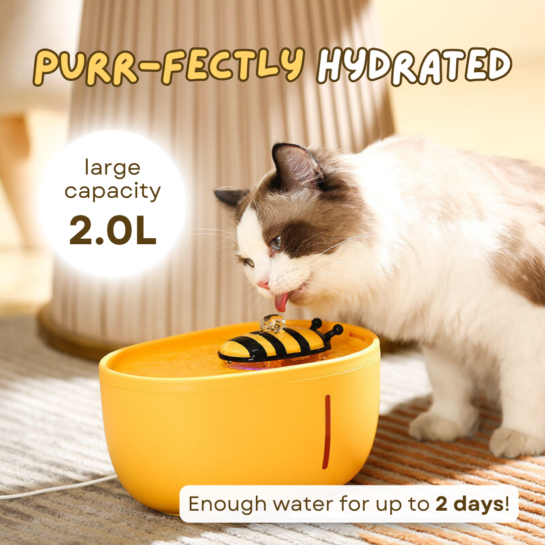 Fatty™ Bee Fountain (FREE 4 Filters)