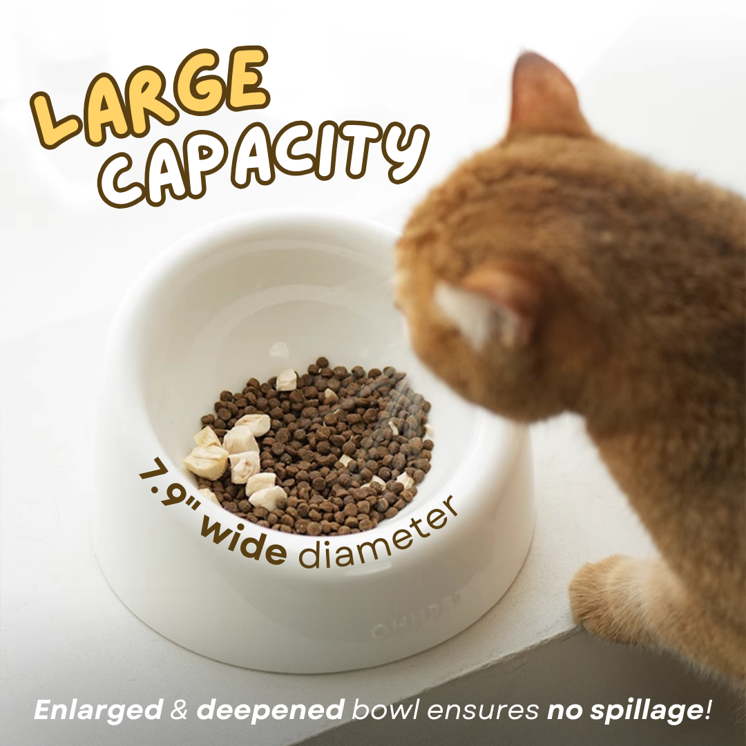 Fatty™ Ceramic Cat Bowl