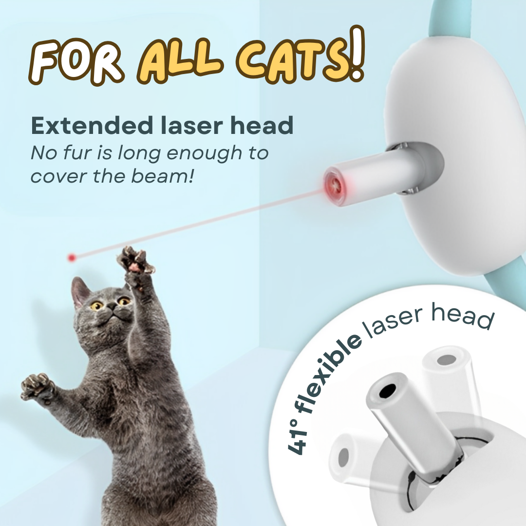 Fatty™ Cat Laser Collar
