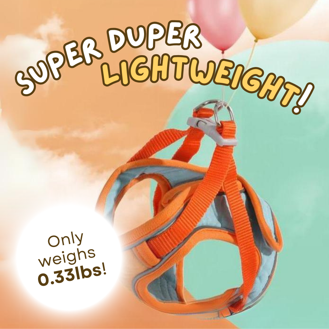 Fatty™ Cat Harness & Leash