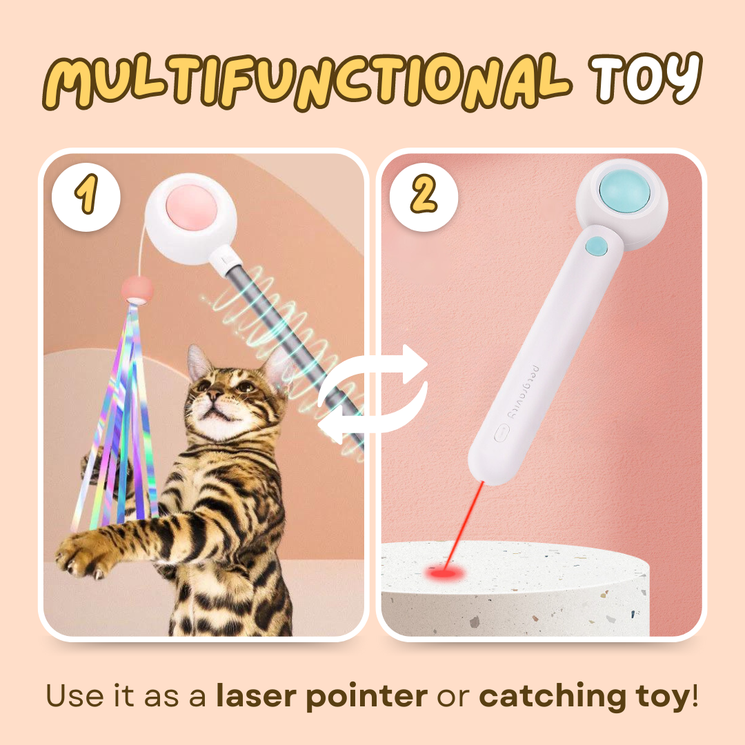 Fatty™ Dashing Laser Toy