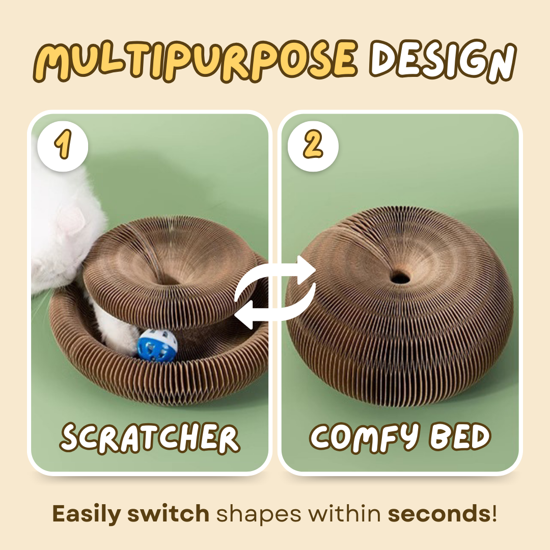 Fatty™ Cat Ball Toy