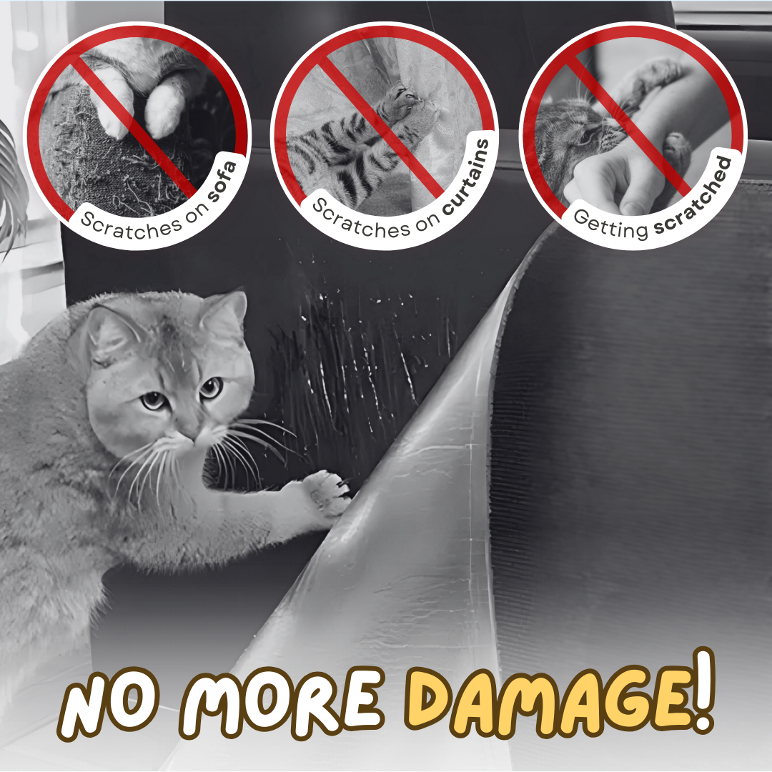 Fatty™ Couch Protector