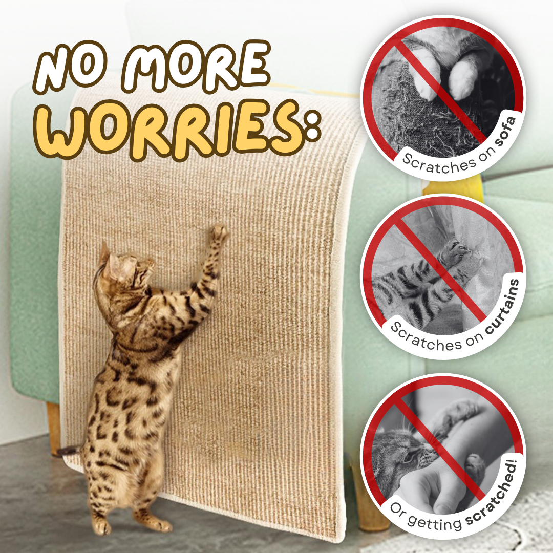 Fatty™ Scratcher Mat