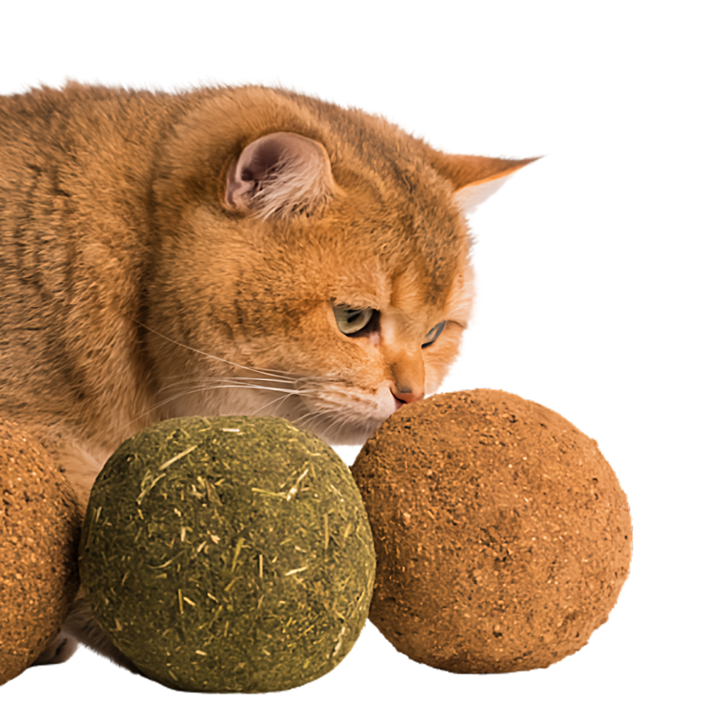 Fatty™ Jumbo Catnip Ball