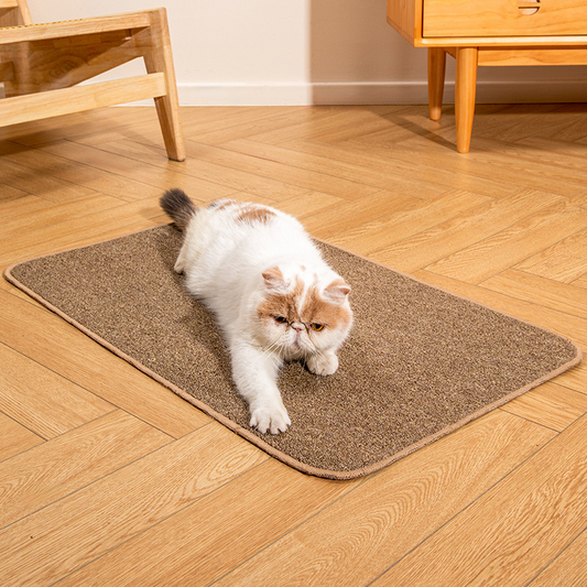 Fatty™ Carpet Scratching Pad