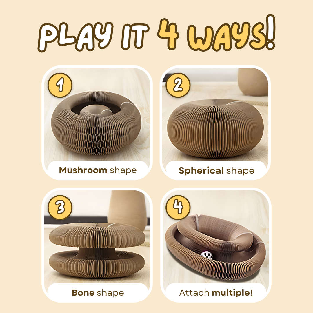 Fatty™ Cat Ball Toy