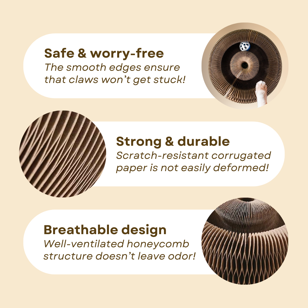 Fatty™ Cat Ball Toy