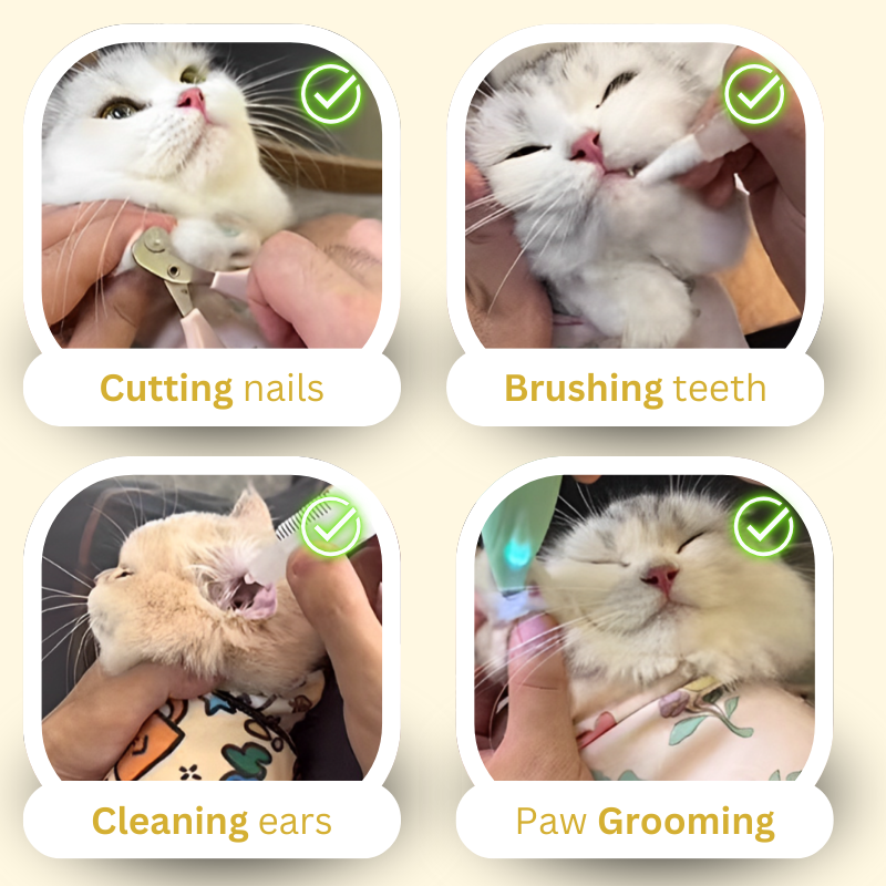 Fatty™ Purrito Cat Wrap