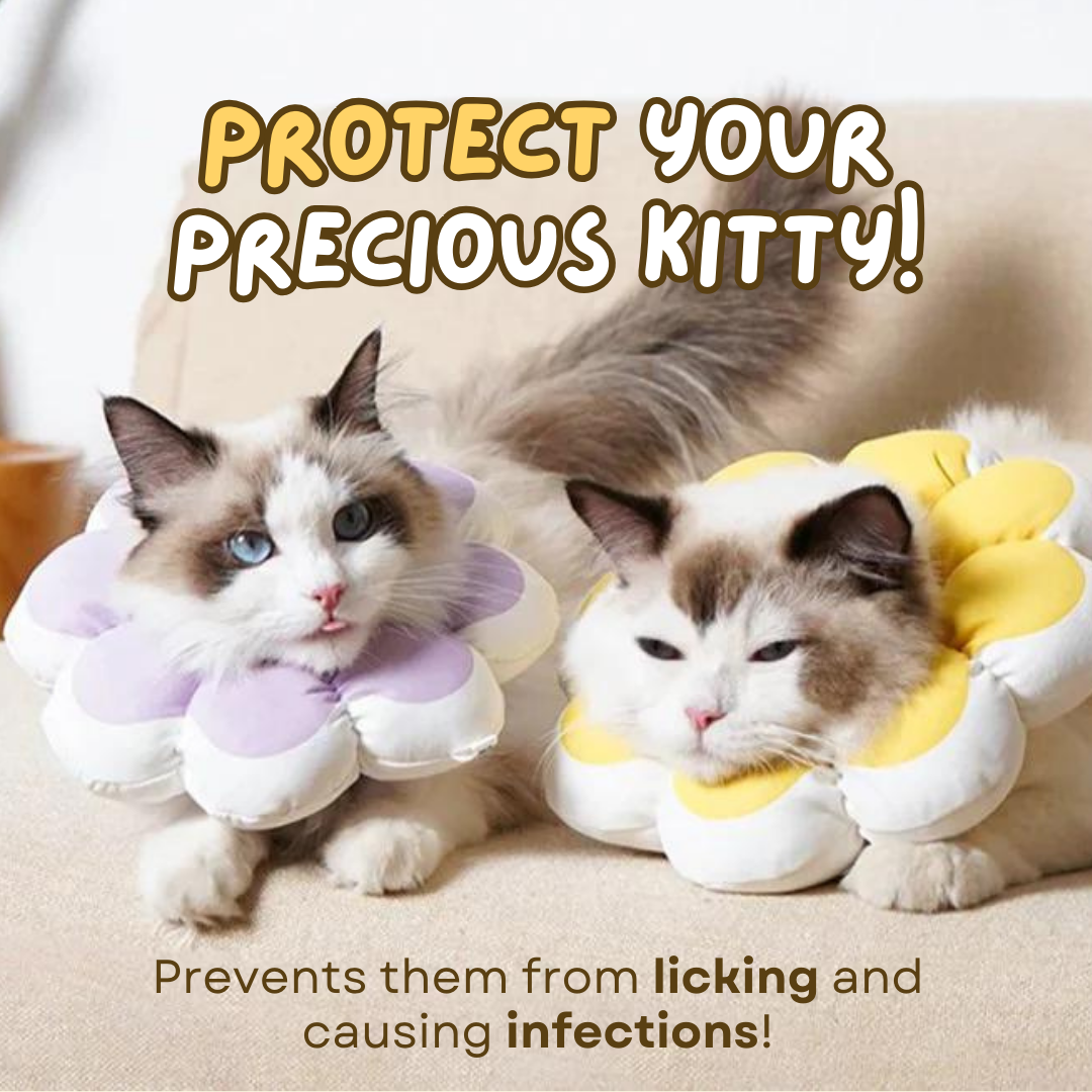 Fatty™ Flower Recovery Cone