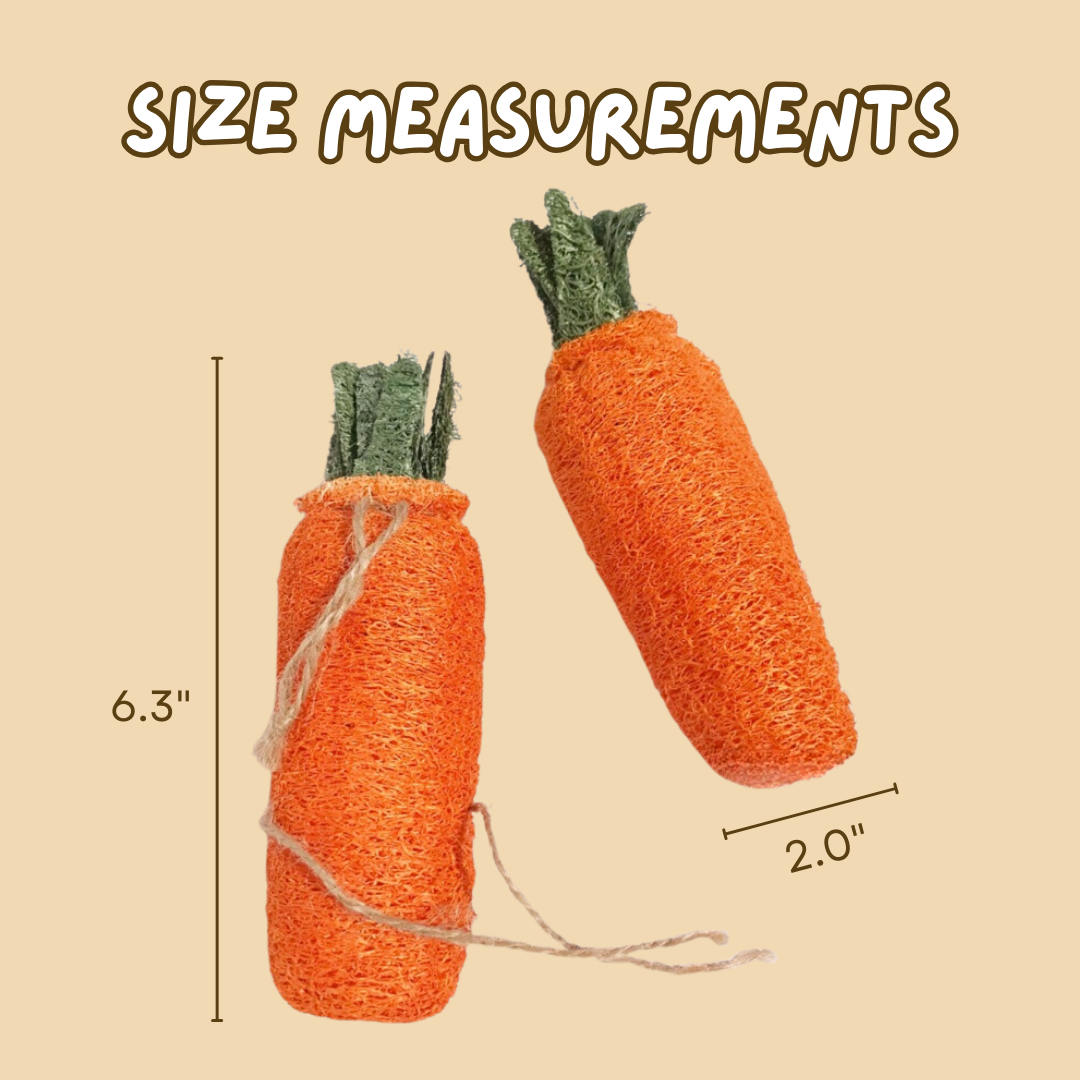 Fatty™ Carrot Loofah