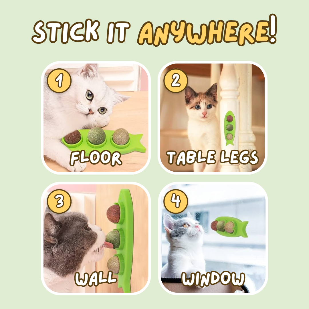 Fatty™ Stick-on Catnip Station