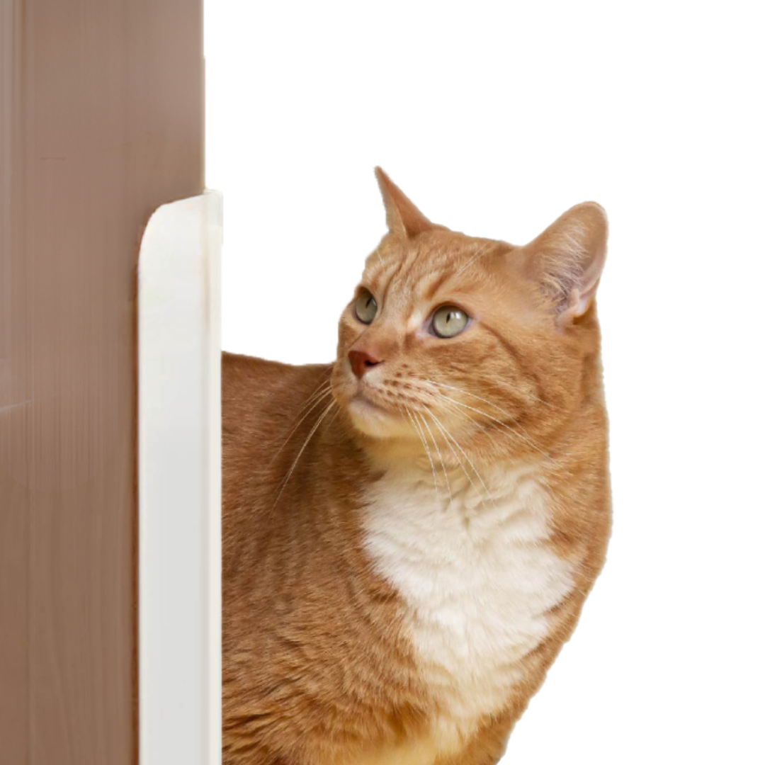 Fatty™ Auto Door Opener