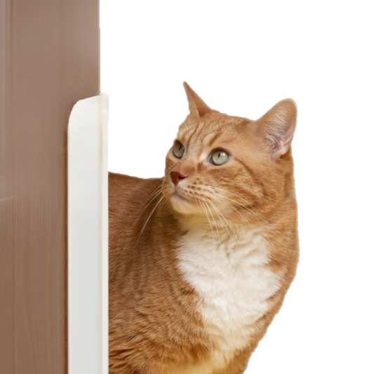 Fatty™ Auto Door Opener