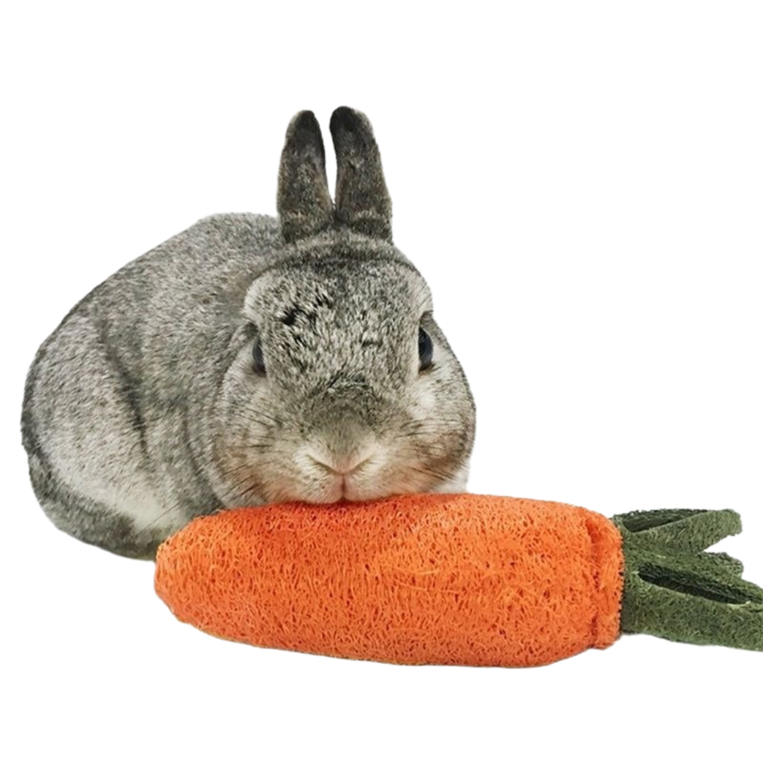 Fatty™ Carrot Loofah