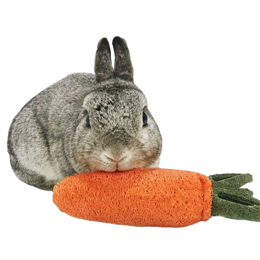 Fatty™ Carrot Loofah