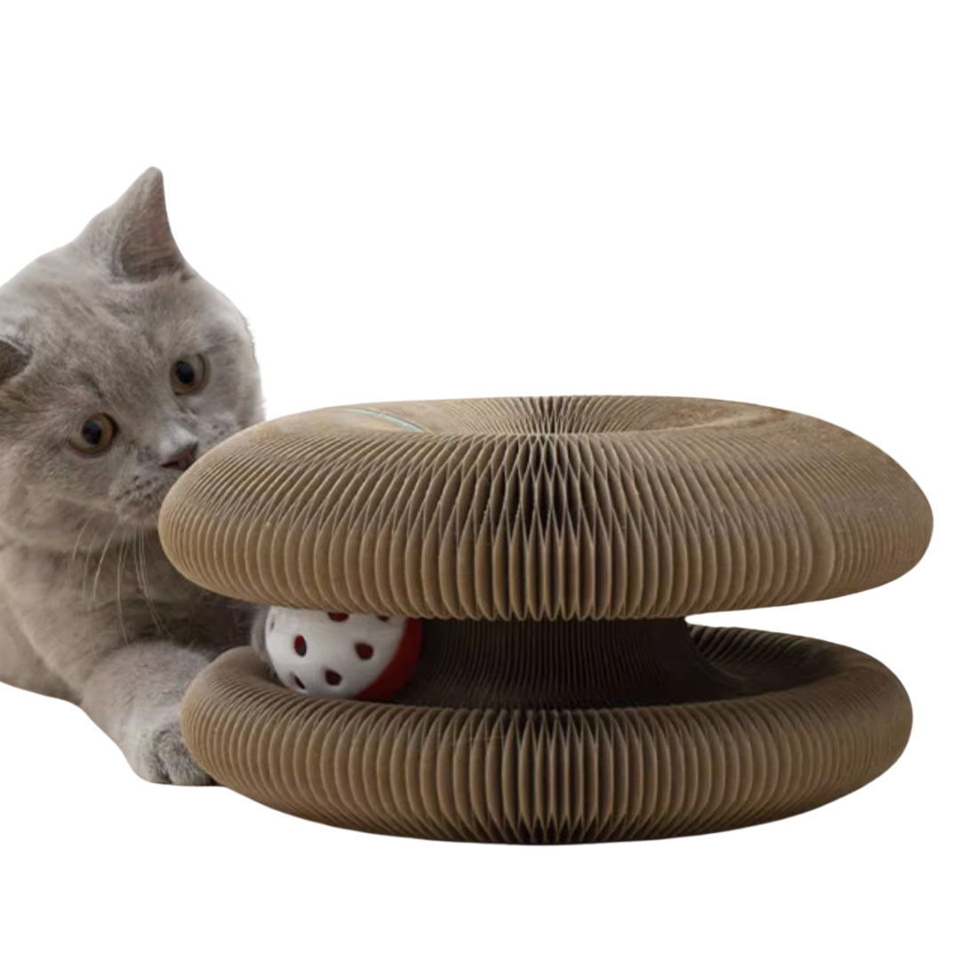 Fatty™ Cat Ball Toy