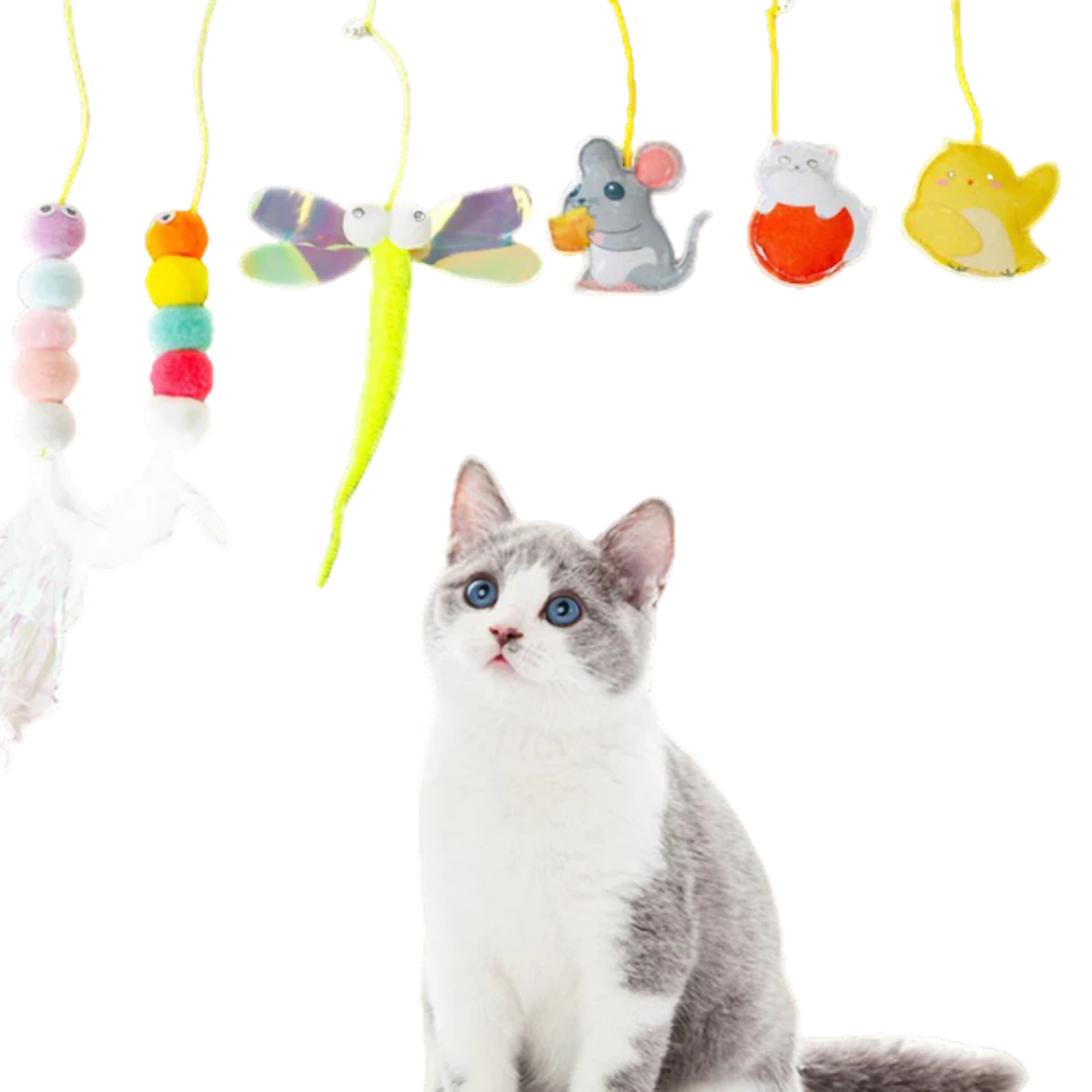 Fatty™ Dangling Cat Toy Set (6 PCS)