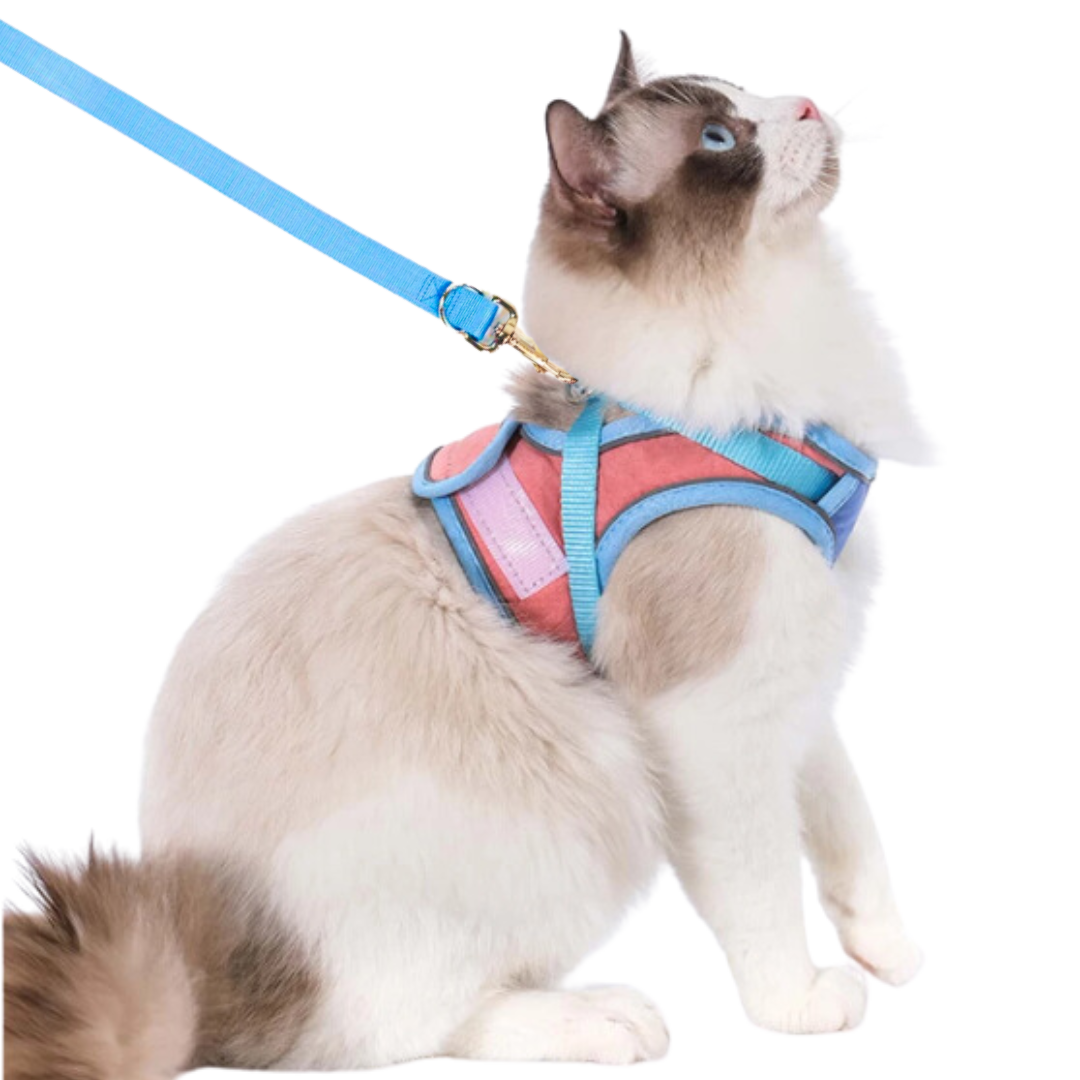 Fatty™ Cat Harness & Leash
