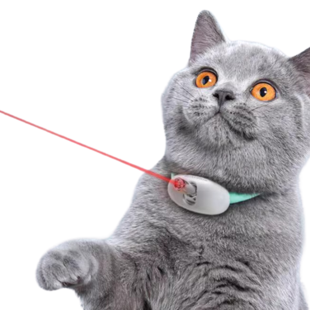 Fatty™ Cat Laser Collar