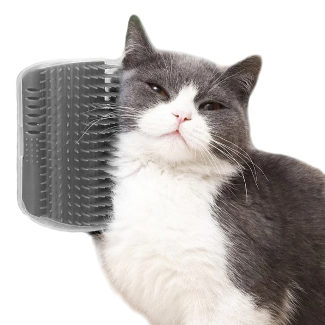 Fatty™ PurrCorner Groomer