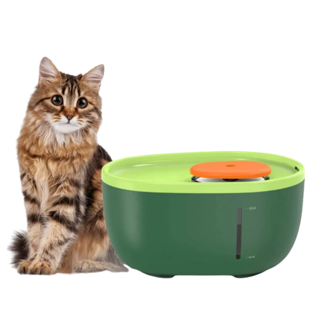 Fatty™ Avocado Water Fountain