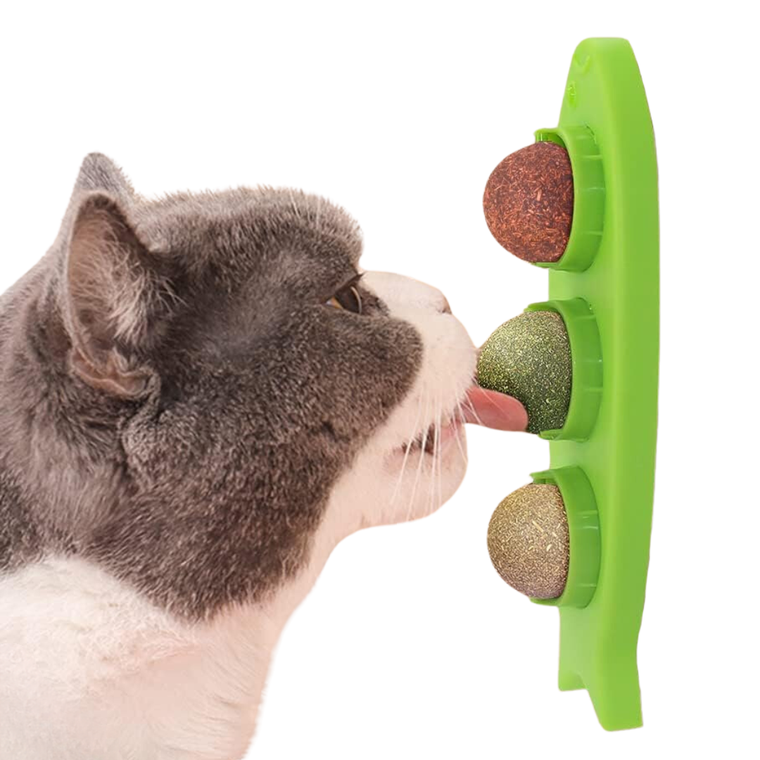 Fatty™ Stick-on Catnip Station