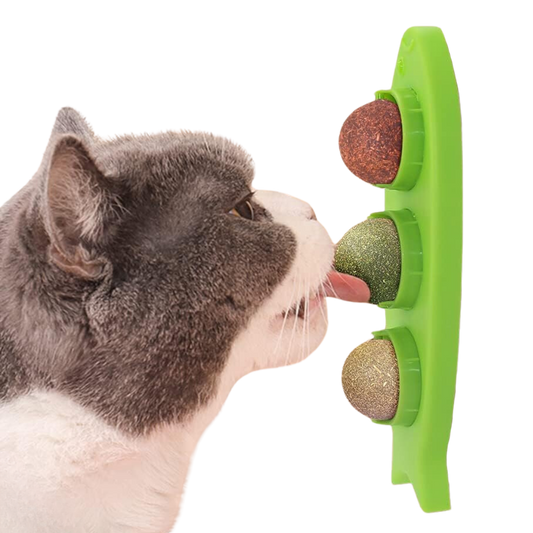 Fatty™ Stick-on Catnip Station