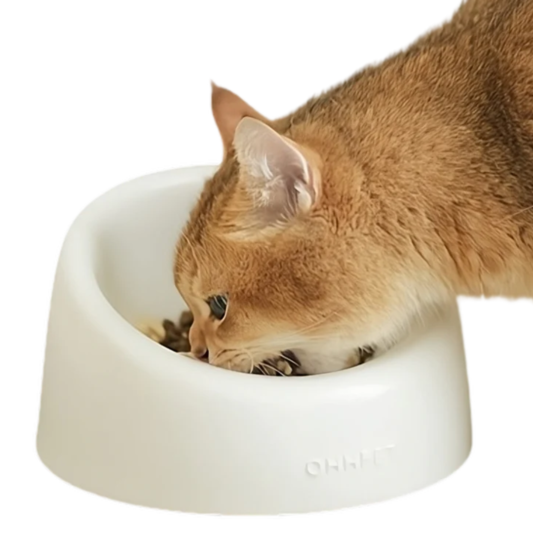 Fatty™ Ceramic Cat Bowl