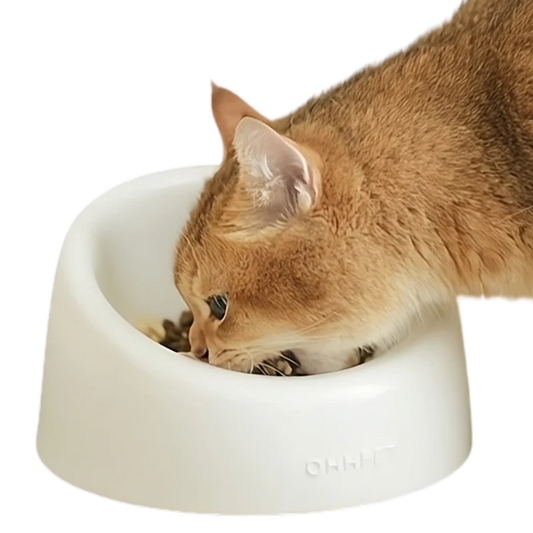 Fatty™ Ceramic Cat Bowl