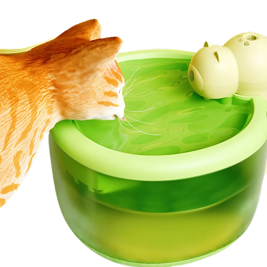 Fatty™ Tiny Bear Water Dispenser